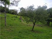 Lote en Venta en el municipio de Choachi Cundinamarca