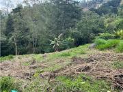Lote en venta en El Poblado, Los Balsos