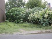 Lote en venta en Gonnet