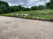 Lote en Venta en Gorina