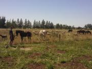 Lote EN VENTA en Inmomap