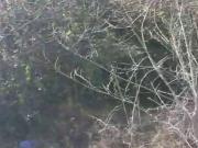 Lote EN VENTA en Inmomap