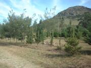 Lote EN VENTA en Inmomap