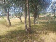 Lote EN VENTA en Inmomap