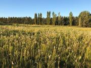 Lote EN VENTA en Inmomap