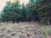 Lote EN VENTA en Inmomap