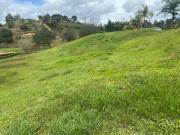 Lote En Venta En La Ceja En. V226290