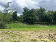 Lote En Venta En La Vega En. V233686