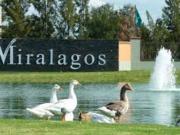 LOTE EN VENTA EN MIRALAGOS LOTE EN VENTA EN MIRALAGOS