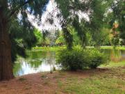 Lote en venta en Miralagos Club de Campo Lote en venta en Miralagos Club de Campo