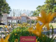 Lote en Venta en Pinares