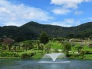 Lote en Venta en San Antonio Vía la Ceja Sector El Yarumo