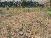 Lote en venta en Tepoztlán