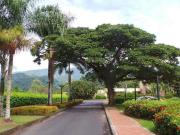 Lote En Venta En Villavicencio En Casa De Campo Llanos...