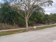 Lote en venta en Xtakay, Yucatán Country Club