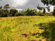 lote en venta en yerbabuena. Cod V3714