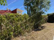 Lote en Venta Fraccionamiento Arboledas San Ignacio,... Lote en Venta Fraccionamiento Arboledas San Ignacio,...