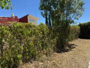 Lote en Venta Fraccionamiento Arboledas San Ignacio,...