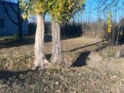 Lote en Venta General alvear Mendoza