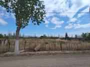 Lote en Venta Junin Mendoza