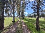 LOTE EN VENTA LA ELVIRA