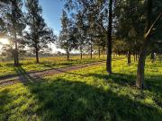 LOTE EN VENTA LA PLATA