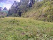 Lote en venta municipio La Estrella Antioquia