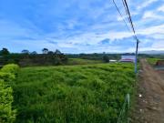 LOTE EN VENTA EN RISARALDA PEREIRA VEREDA MORELIA