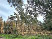 Lote en venta Reserva Golf Los Acantilados