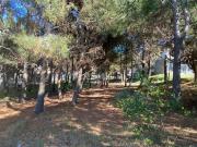 LOTE en Venta Residencial I COSTA ESMERALDA