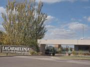 Lote en Venta San Martin Mendoza