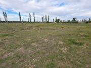 Lote en Venta San Rafael Mendoza