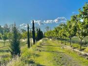 Lote en Venta San Rafael Mendoza