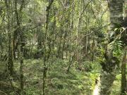 lote en venta Santa Elena el carretero matrícula...