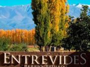 Lote en Venta Tupungato Mendoza