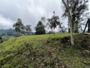 LOTE EN VENTA UBICADO EN SANTA ELENA SECTOR VEREDA LA HONDA