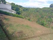 Lote en venta vía alcalá