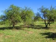 Lote en Venta Villa Amancay Calamuchita Cordoba