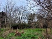 LOTE EN VENTA VILLA ELISA