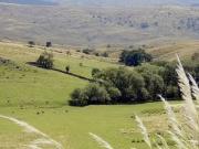 LOTE EN YACANTO CENTR DE 600 M2 EN CALLE PRINCIPAL