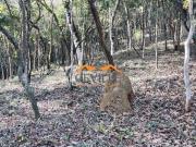 Lote espetacular com 875 m² no condomínio Estância