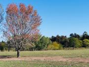 LOTE FINANCIADO Barrio El Paso, Del Viso