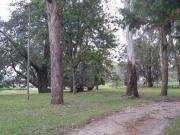 Lote/ Finca en venta en Rionegro, Antioquia