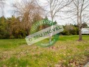 Lote, Fonte de Angeão e Covão Do Lobo, Vagos | BPI...