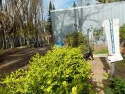 LOTE FORESTADO CORDON FORESTAL 1000 MTS2