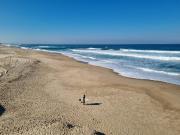 Lote, Foz Do Arelho, Caldas da Rainha | BPI Expresso...