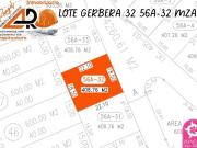 Lote GERBERA 32 de vistas panorámicas inigualables con...