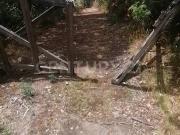 Lote ideal para hacer un lugar Holístico y agradable...