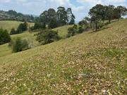 Venta de Lote en Rionegro – 10.000 m² rodeados de naturaleza