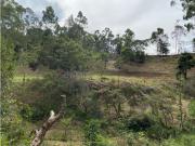 LOTE INDEPENDIENTE EN VENTA EN RIONEGRO